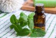طرز تهیه عرق نعنا خانگی دو آتیشه و آشنایی با خواص آن