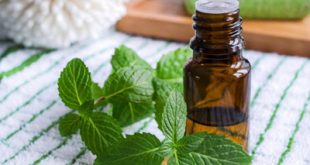 طرز تهیه عرق نعنا خانگی دو آتیشه و آشنایی با خواص آن